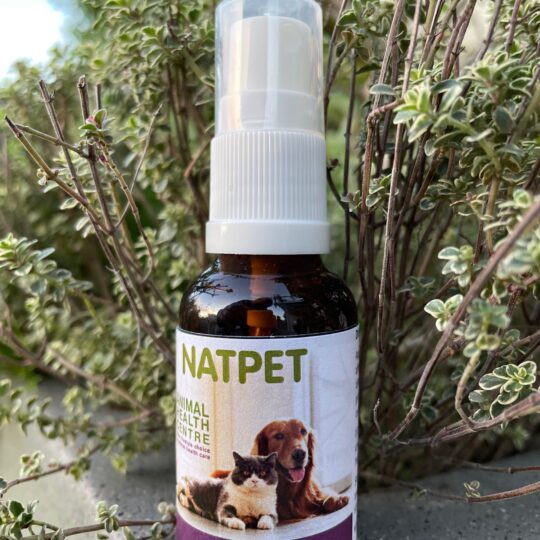 Ear Drops