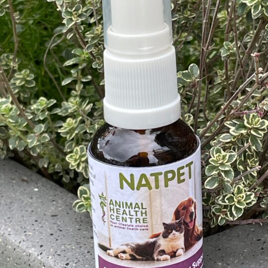 Environmental Allergy Support